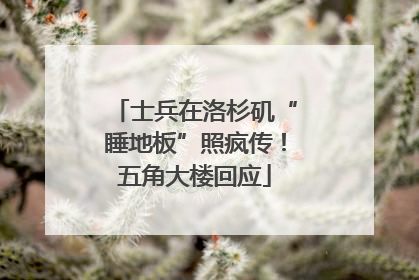 士兵在洛杉矶“睡地板”照疯传！五角大楼回应