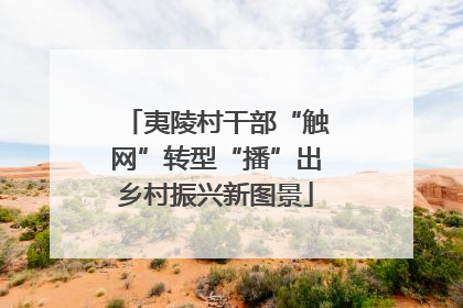夷陵村干部“触网”转型“播”出乡村振兴新图景