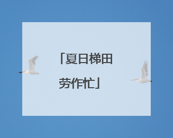 夏日梯田劳作忙