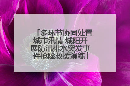 多环节协同处置城市汛情 城阳开展防汛排水突发事件抢险救援演练