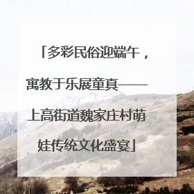 多彩民俗迎端午，寓教于乐展童真——上高街道魏家庄村萌娃传统文化盛宴