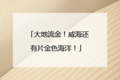 大地流金！威海还有片金色海洋！