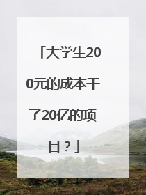大学生200元的成本干了20亿的项目？