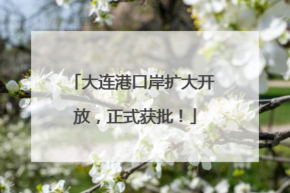 大连港口岸扩大开放，正式获批！