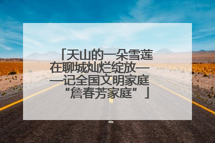 天山的一朵雪莲在聊城灿烂绽放——记全国文明家庭“詹春芳家庭”
