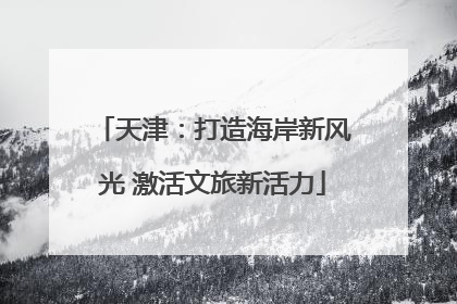 天津：打造海岸新风光 激活文旅新活力