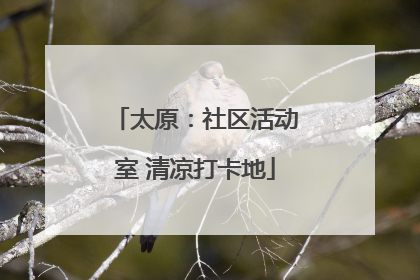 太原：社区活动室 清凉打卡地