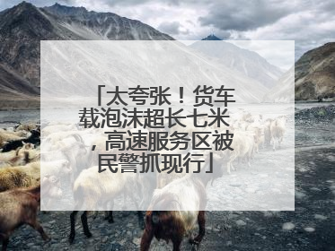 太夸张！货车载泡沫超长七米，高速服务区被民警抓现行