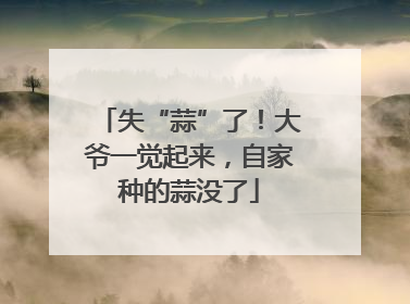 失“蒜”了！大爷一觉起来，自家种的蒜没了