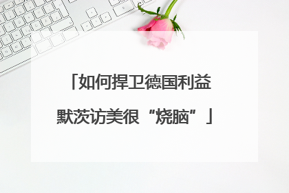 如何捍卫德国利益 默茨访美很“烧脑”