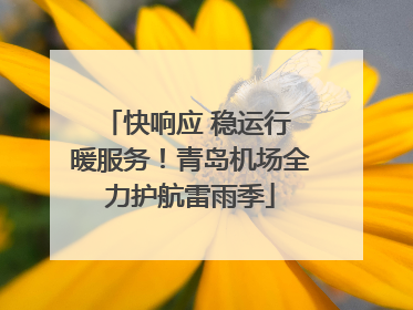 快响应 稳运行 暖服务！青岛机场全力护航雷雨季