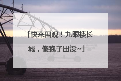快来围观！九眼楼长城，傻狍子出没~