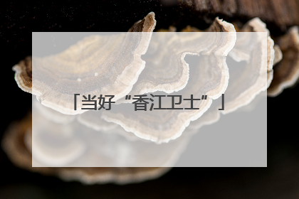 当好“香江卫士”