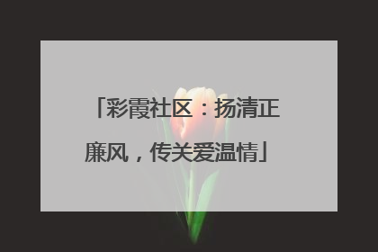 彩霞社区：扬清正廉风，传关爱温情