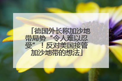 德国外长称加沙地带局势“令人难以忍受”！反对美国接管加沙地带的想法