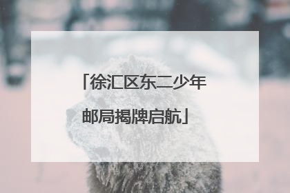 徐汇区东二少年邮局揭牌启航