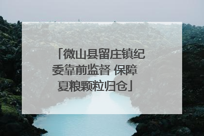 微山县留庄镇纪委靠前监督 保障夏粮颗粒归仓