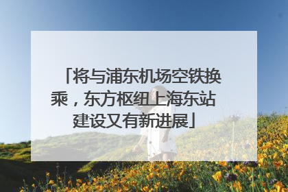 将与浦东机场空铁换乘，东方枢纽上海东站建设又有新进展