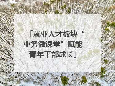 就业人才板块“业务微课堂”赋能青年干部成长