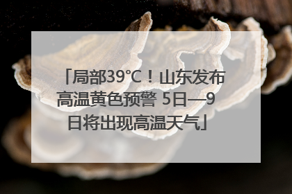 局部39℃！山东发布高温黄色预警 5日—9日将出现高温天气