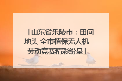 山东省乐陵市：田间地头 全市植保无人机劳动竞赛精彩纷呈