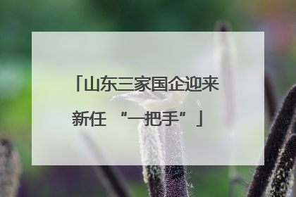 山东三家国企迎来新任 “一把手”