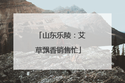 山东乐陵：艾草飘香销售忙