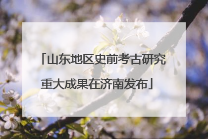 山东地区史前考古研究重大成果在济南发布