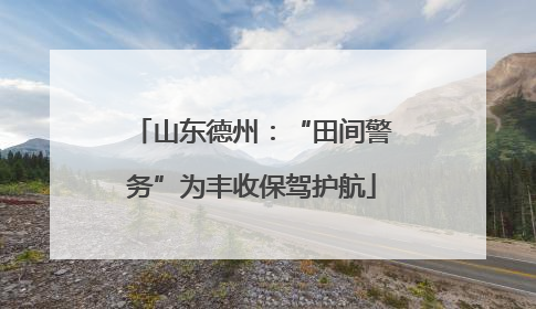 山东德州：“田间警务”为丰收保驾护航