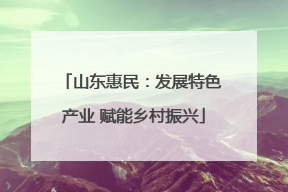 山东惠民：发展特色产业 赋能乡村振兴