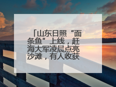 山东日照“面条鱼”上线，赶海大军凌晨点亮沙滩，有人收获满满一桶鱼
