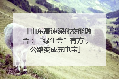 山东高速深化交能融合：“绿生金”有方，公路变成充电宝
