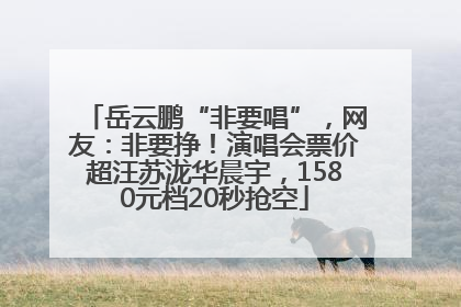 岳云鹏“非要唱”，网友：非要挣！演唱会票价超汪苏泷华晨宇，1580元档20秒抢空