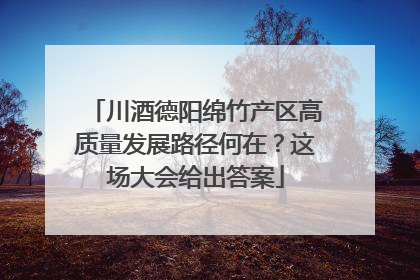 川酒德阳绵竹产区高质量发展路径何在？这场大会给出答案