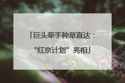 巨头牵手种草直达：“红京计划”亮相