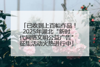 已收到上百幅作品！2025年湖北“新时代网络文明公益广告”征集活动火热进行中