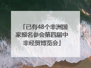已有48个非洲国家报名参会第四届中非经贸博览会