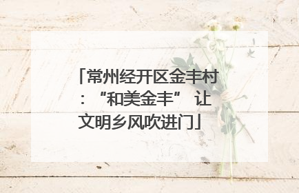 常州经开区金丰村：“和美金丰” 让文明乡风吹进门