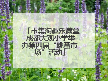 市集淘趣乐满堂 成都大观小学举办第四届“跳蚤市场”活动