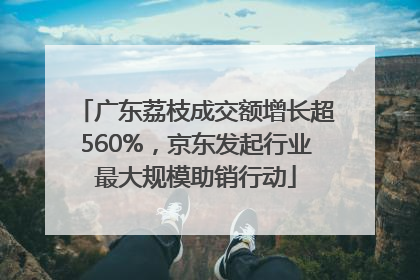 广东荔枝成交额增长超560%，京东发起行业最大规模助销行动