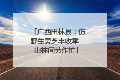 广西田林县：仿野生灵芝丰收季 山林间劳作忙