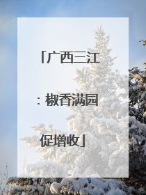 广西三江：椒香满园促增收
