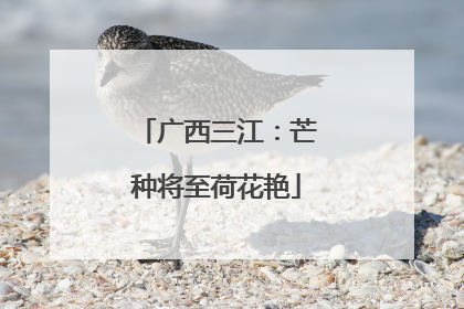 广西三江：芒种将至荷花艳