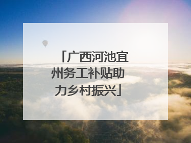 广西河池宜州务工补贴助力乡村振兴