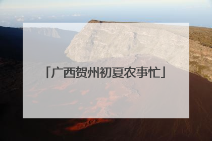 广西贺州初夏农事忙