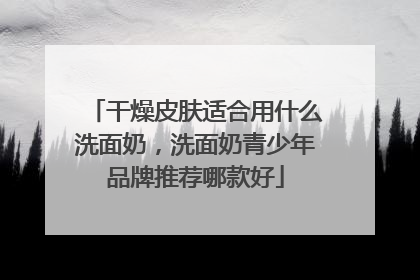 干燥皮肤适合用什么洗面奶，洗面奶青少年品牌推荐哪款好