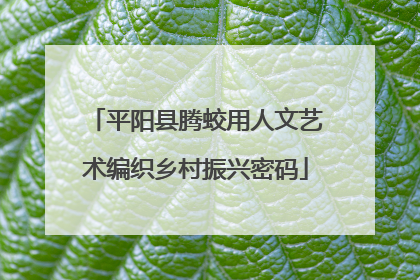 平阳县腾蛟用人文艺术编织乡村振兴密码