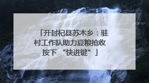 开封杞县苏木乡：驻村工作队助力夏粮抢收按下 “快进键”