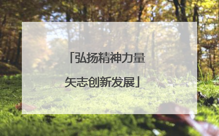弘扬精神力量 矢志创新发展
