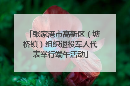 张家港市高新区（塘桥镇）组织退役军人代表举行端午活动